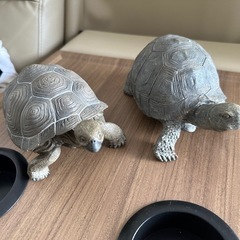 亀の置物2セットの画像