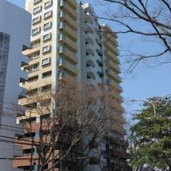 🏡🐶🐈ペット飼育相談可　3LDK上階マンション　南区大橋🏡🐶🐈