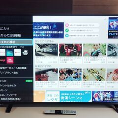 4Kテレビ TOSHIBA REGZA 55インチ 2020年 55C340X