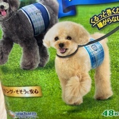 マナーウェア　ss 小型犬