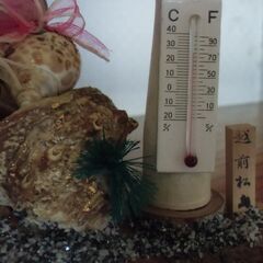 昭和 レトロ 越前松島 民芸品 温度計 インテリア お譲りします。＊石川県＊美川より＊期間限定の画像