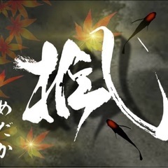 お盆期間限定！めだかバケツセール