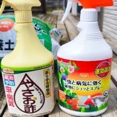 培養土とその他の画像