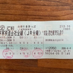 青春18きっぷ  2回分 川崎駅