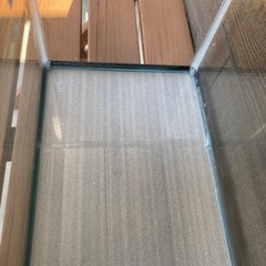 GEX 60センチ水槽
の画像