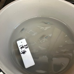深海メダカの稚魚（1センチ〜1、5センチ） 6匹500円の画像