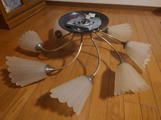 小泉産業  シャンデリア  8灯  2箇所欠けあり  白熱灯器具