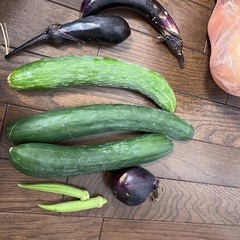 夏野菜　きゅうり　オクラ