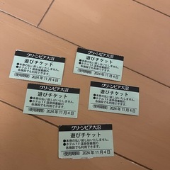 グリーンピア大沼 遊びチケット 5枚