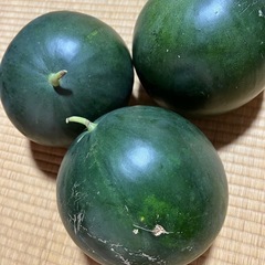 スイカ3kg〜3.3kg 3玉で1200円