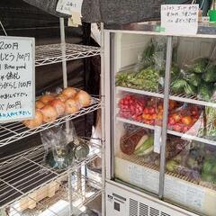 とりたて野菜の直売　2025年1月前半のお野菜