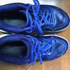 ヨネックスバドミントンシューズ！ パワークッション 65Z2 24.5cm  桃田選手専用デザイン サファイアネイビー！の画像