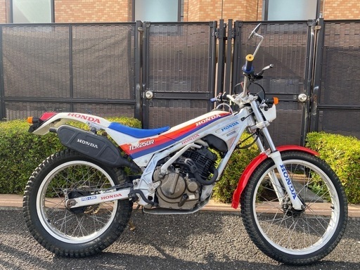 TLR250R さいたま市発 エンジン絶好調 さいたま市のホンダ
