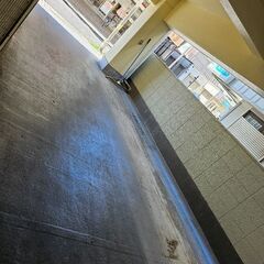 引っ越しの仕事を手伝ってくださいます。（８月１４日）