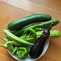 野菜セット