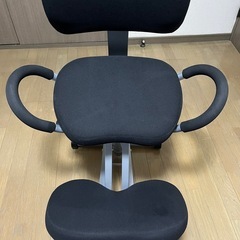 バランスチェアの画像