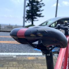【値下げしました】☆超軽量☆クロスバイク・KhodaaBloom（コーダーブルーム）RAIL700（適応身長：165～180cm）の画像