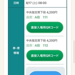 8/17(土)  第106回全国高等学校野球選手権大会チケット
