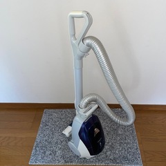 ペット、じゅうたんのご家庭向け。強力なモーターヘッドです。