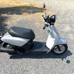 868.　動画あり　ホンダ　AF61 トゥデイ 原付　バイク　50cc   埼玉　車体の画像
