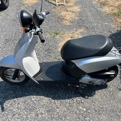 868.　動画あり　ホンダ　AF61 トゥデイ 原付　バイク　50cc   埼玉　車体の画像
