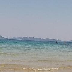 糸島　唐津観光案内💁