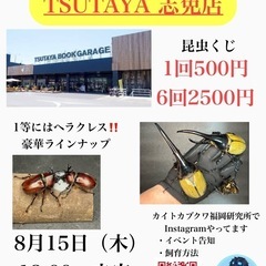 カブトムシクワガタくじ