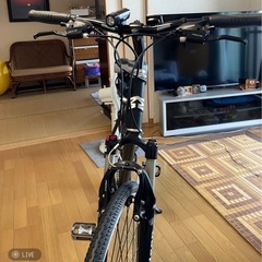 自転車 マングース マウテン ロードバイク の画像