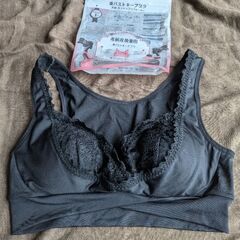 犬印本舗　美バストキープブラ　未使用　