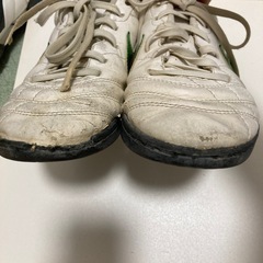 トレーニングシューズ　21.5cm 22cm MIZUNO NIKEの画像