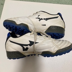 トレーニングシューズ　21.5cm 22cm MIZUNO NIKEの画像