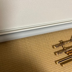 ロールスクリーンとカーテンレールの画像