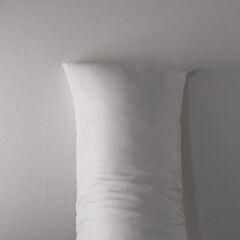 【他の商品購入で0円】抱き枕本体 テイジンクリスター綿 ふんわり...