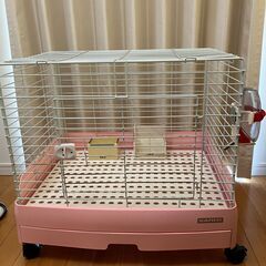 ウサギ飼育セット
