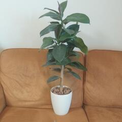 お渡しの方決定【超美品】フェイクグリーン　観葉植物　オシャレ　インテリア　生活雑貨 家庭用品 の画像