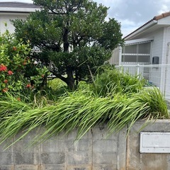 造園関係全て対応可能です - 中頭郡