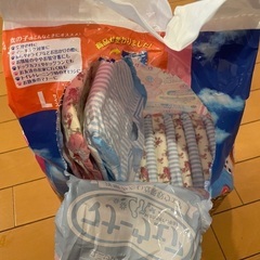 メス犬用おむつ　Lサイズ中型犬8〜12kgの画像