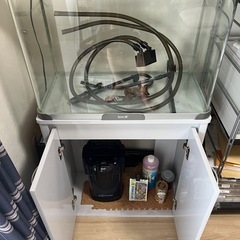 引き取り限定　水槽60Lの画像