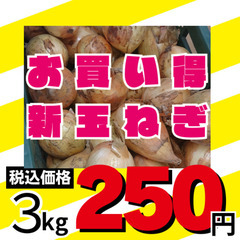 8/14(水) 住所 八斗島町になりました　玉ねぎ‼！(前橋産) 3㎏→250円の画像