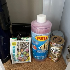 引き取り限定　水槽60Lの画像