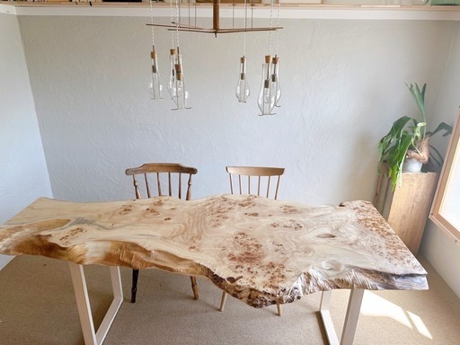 ポプラの木の天板