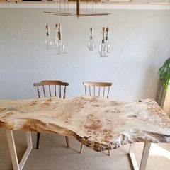 ポプラの木の天板