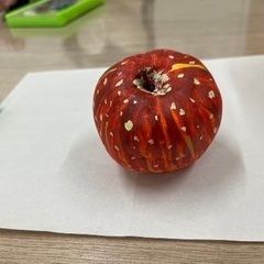 あんな場所やこんな場所へ❗❗さあ、 大冒険の始まりだ🤣❗の画像