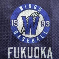 野球メンバー募集　福岡ウイングス