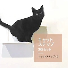animacolle キャットステップの画像