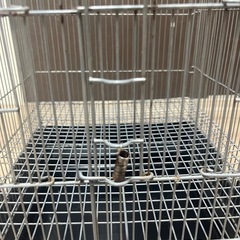 【取引中】晃商会 SANKO C74 イージーホーム40ハイメッシュ ブラック 40 鳥かご/モモンガ/小動物 ¥0 の画像