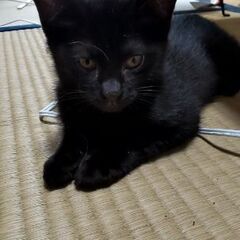 山代温泉で、