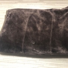 引越し無料セールの画像