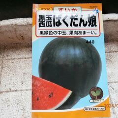 ::激安スイカ・値段はスーパーの50％off・味はスーパーの2倍の画像