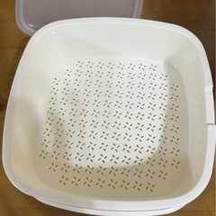 むし太郎(大)
の画像